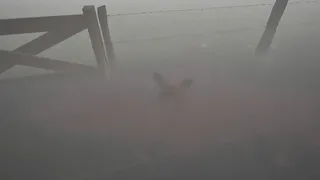 Скриншот 5 к игре Deep in the Fields