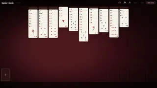 Solitaire - Spider Collection