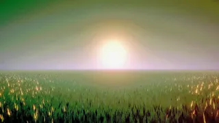 A show she never watched.