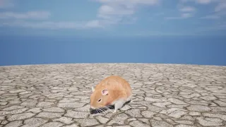 Labyrinth of Whiskers