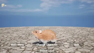 Labyrinth of Whiskers