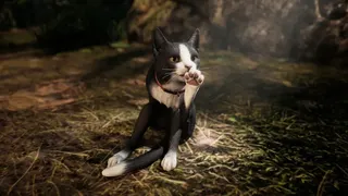 Haunted Diary : The Hunting Tower