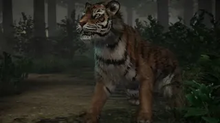 Haunted Diary : The Hunting Tower