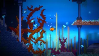 Chow Them Down Quick