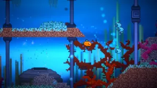 Chow Them Down Quick