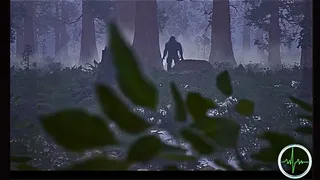 Among The Sierra Nevada