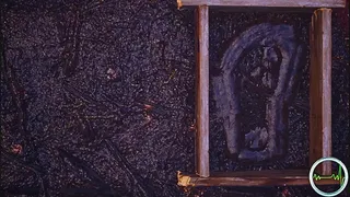 Among The Sierra Nevada