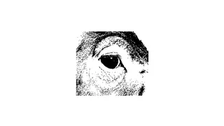 Kansallislintuja; punaisessa planeetassa.