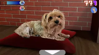 Скриншот 5 к игре Lazy Man