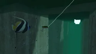 Скриншот 6 к игре Dream Fishing