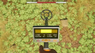 Metal Detect: Hidden Treasure