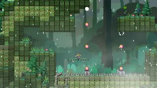 A Frog's Job 2: Froggina