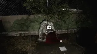 D-Экстинкция