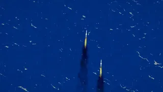 1982 Tenacious of the Air