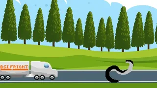 Black Snake Invasion