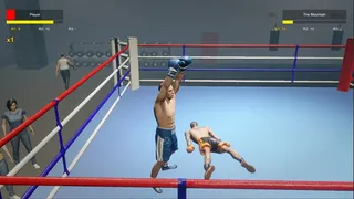 Boxing Life Simulator