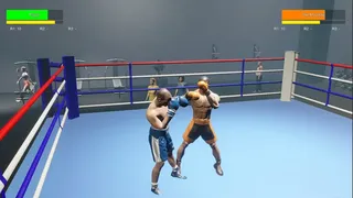 Boxing Life Simulator
