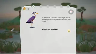 Junior Birder Adventure