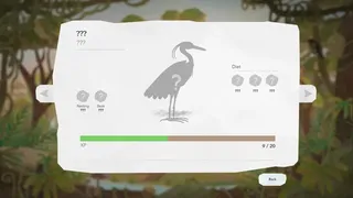 Junior Birder Adventure