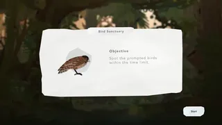 Junior Birder Adventure