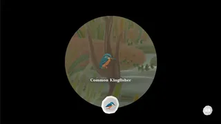 Junior Birder Adventure