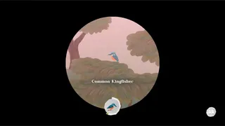 Скриншот 5 к игре Junior Birder Adventure