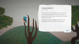 Скриншот 6 к игре Junior Birder Adventure