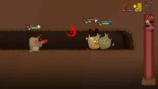 Mountains & Molehills