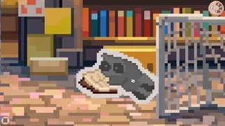 Hidden Raccoons in Asia