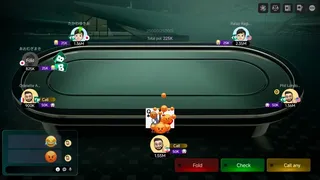 Скриншот 5 к игре Master Poker