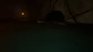 Скриншот 6 к игре Drowned Caves
