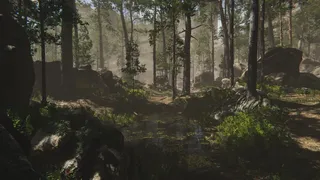 Скриншот 8 к игре Herbalist Roman