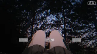 Dissolution of the Silent Union