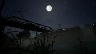 Whispers of the Tallgrass