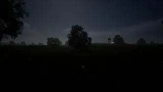 Скриншот 5 к игре Whispers of the Tallgrass