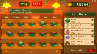 Tiny Glass Tank: Dwarf Shrimp and Friends