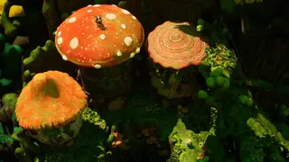 Скриншот 7 к игре Kali and Ko