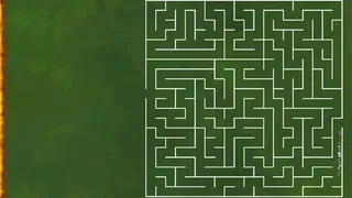 Maze Mayhem