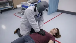 Doctor Pigeon Simulator