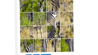 ZebraPuzzle.hgm
