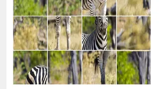 ZebraPuzzle.hgm
