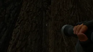 Crescent Creek: Survival Horror