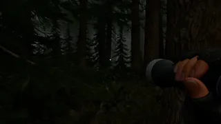 Crescent Creek: Survival Horror