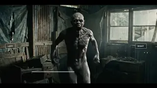 CAMERAMAN NEVER DIES