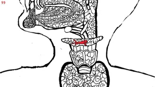 Let's Find Cats Inside the Human Body