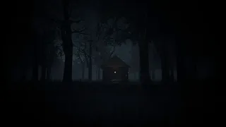 Скриншот 5 к игре The Curse 404