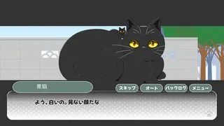 ノワールの帰り道