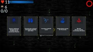 SaintGuard Survivors