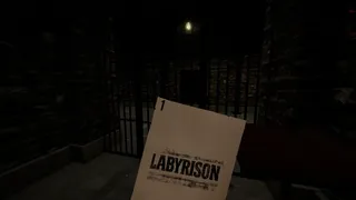 LABYRISON
