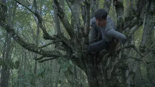 Скриншот 6 к игре Wordless Forest